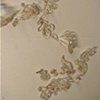 Linger (detail)