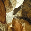Skin of the Mundane (detail)