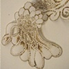 Linger (detail)