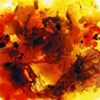 Puddled Remains of a Life Half Remembered (detail)