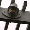 Doll Head Gate, Night View 2