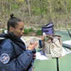 Picnic lunch at Burchfield Nature preserve.