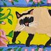 Kimberly Rodgers

Kitty relaxed.