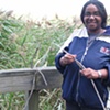 Sheila Bush