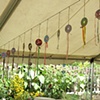 Dance catchers installed.