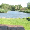 Tifft Nature Preserve field trip