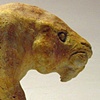 Chace Lobley


"Saber Tooth Cat"
