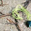 Jewelry by Angela Robb