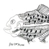 Noah Filk

"Red Eye Piranha"