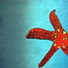Allison Mantione

"Red and Yellow Speckled Starfish"