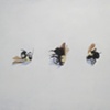 Bees, July 9