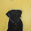 Casey