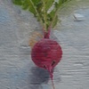 Urban Radish