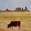 Cow, Monument Valley