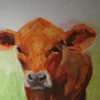 Amanda's Cow