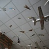 Dayton Flight