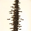 Line Confrontation