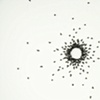 Circle Confrontation