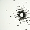 Circle Confrontation