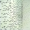 Crowd Vertigo (detail)