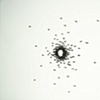 Circle Confrontation