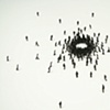 Circle Confrontation