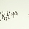 Line Confrontation Movement Sequence
