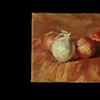 Onions Still-Life