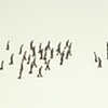 Line Confrontation Movement Sequence