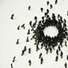 Circle Confrontation