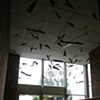 Dayton Flight