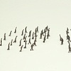 Line Confrontation Movement Sequence