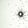 Circle Confrontation