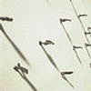 Crowd Vertigo (detail)