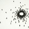 Circle Confrontation