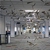 Dayton Airport Installation