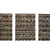 Doorway Photo Grids