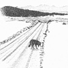 Leni in the Road