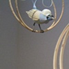 The Paradise Bird (detail)