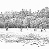 The Soccer Players