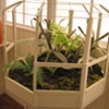 The Victory Garden (detail)