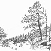 Indian Landscape