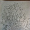 3/4 dragon koi sketch