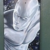 silver surfer sk8