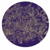 DELINEATION(Collaboration with Funiture and Textile artists)