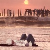 "Sunset surfing at the Cove"