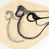 "CalArts/Chouinard 
School of Dance"