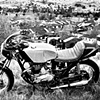 "Triumphs motorcycles were born into a unique breed of the iron horse society"