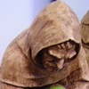St. Francis