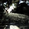 After the Rain